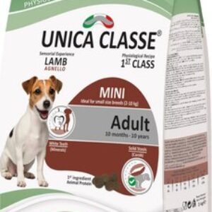 Сухой корм для собак Classe для взрослых собак мелких пород ягненок 21век