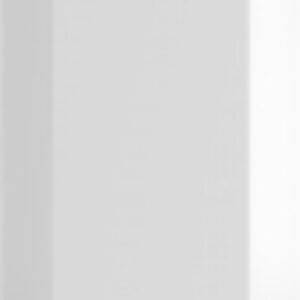 Газовый котел Classic-25W 21век