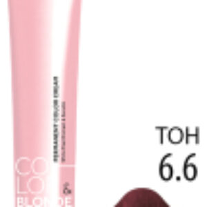 Крем-краска для волос Color&Blonde 6.6 21век