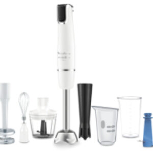 Блендер погружной DD94J110 21век