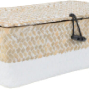 Коробка для хранения Dilon 27x17x10 21век