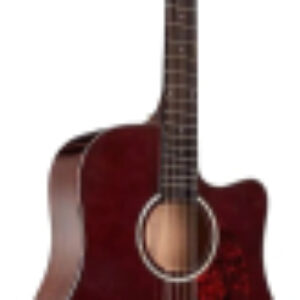 Акустическая гитара DM411SC BR 21век