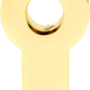 Вставка для накладки на цилиндр DP-C-G 21век