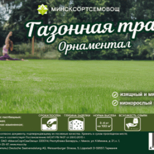 Семена газонной травы Орнаментал 21век