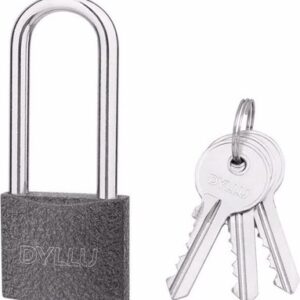 Замок навесной DTPD5560L 21век