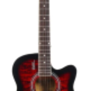 Акустическая гитара E4030 RDS 21век