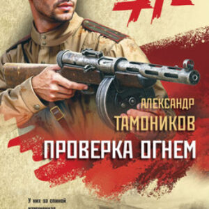 Книга Проверка огнем