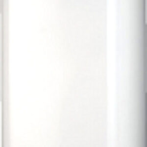 Накопительный водонагреватель EWH 50 Formax 21век