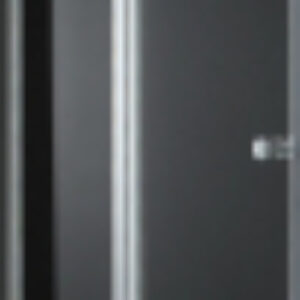 Душевая дверь ELENA-W-50/50-C-Cr 21век