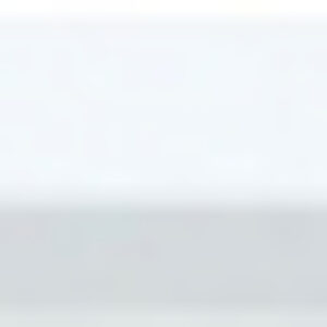 Сенсорный блок для проектора ELPFT01 / V12H007A24 21век