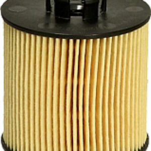 Масляный фильтр EOF171 21век