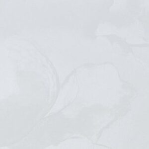 Виниловые обои Euphoria-фон 72328-14FM 21век