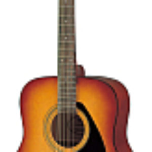 Акустическая гитара F-310 TBS 21век