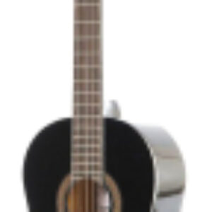 Акустическая гитара FAC-502 21век