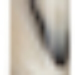 Ручка шариковая Fantasy / CPs_70503 21век