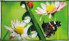 Коврик для ванной Fantasy Icarpet 50x80 006 / 451698 21век