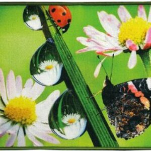 Коврик для ванной Fantasy Icarpet 50x80 006 / 451698 21век