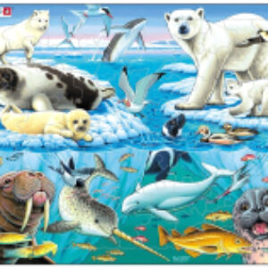 Пазл Арктика FH11 21век