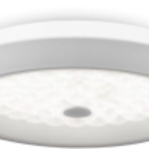 Потолочный светильник FR10012CL-L24W 21век