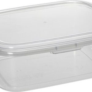 Контейнер Fresh Т24720 21век