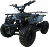 Электроквадроцикл Grizlik Mini E1000 21век