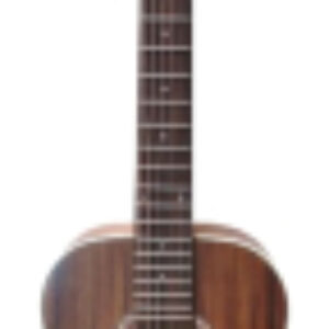 Акустическая гитара IW-34R TNS 21век