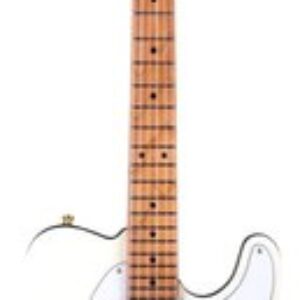 Электрогитара JT-300 AW G 21век