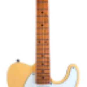 Электрогитара JT-300 BTS 21век