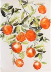 Картина Juicy orange 70x100 / BB0000970 21век