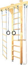 Детский спортивный комплекс Wooden Ladder Ceiling 21век