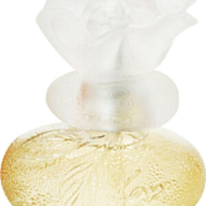 Туалетная вода Le Monde est Beau 21век