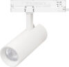 Трековый светильник LGD-GERA-2TR-R55-10W Warm3000 WH 55deg / 055062 21век