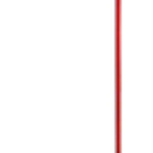 Торшер LGO Flagstaff LSP-0507 21век