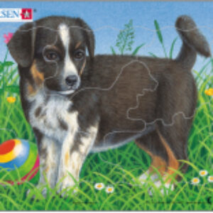 Пазл Кошки и собаки / M13N 21век