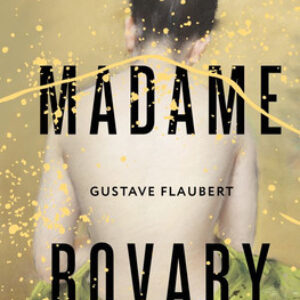 Книга Madame Bovary