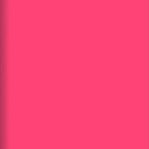 Записная книжка Neon / БНККЛ6484323 21век