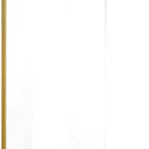 Душевая стенка NG-643-11 110x195 21век