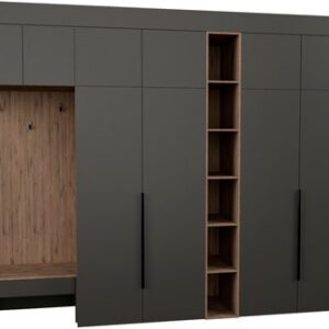 Секция в прихожую Рэй P257-B11-1-WKW В11-1 21век