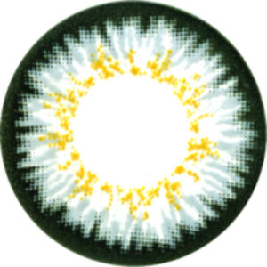 Комплект контактных линз Paradise Grey Sph-5.00 21век