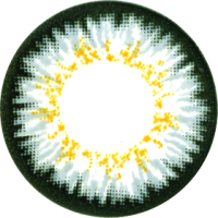 Комплект контактных линз Paradise Grey Sph-5.00 21век