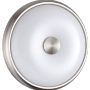 Потолочный светильник Pellow 4957/2 21век