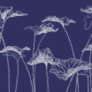 Фотообои листовые Perfect Lines 5 21век