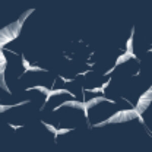 Фотообои листовые Perfect Lines 8 21век