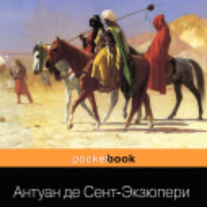 Книга Цитадель. Pocket Book 21век