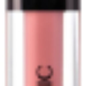 Блеск для губ Power Gloss тон 56 21век