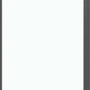 Душевая стенка Pragma 100х195 / 200.K33.03.100.42.00 21век