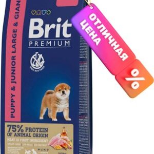 Сухой корм для собак Premium Dog Puppy and Junior Large and Giant с курицей / 5049981 21век