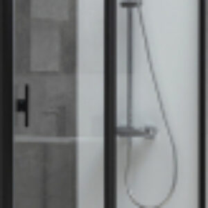 Душевая дверь Priority 3.31009.BBA / 256517 21век