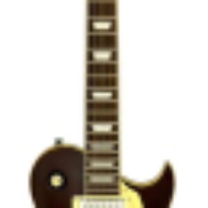 Электрогитара Pro II PE-590STD AGTS 21век