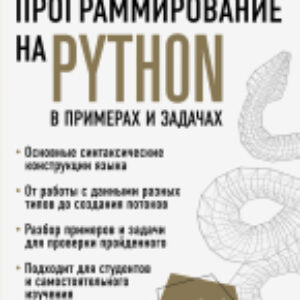 Книга Программирование на Python в примерах и задачах 21век
